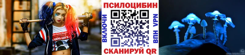 цена наркотик  Вилюйск  Галлюциногенные грибы Magic Shrooms 