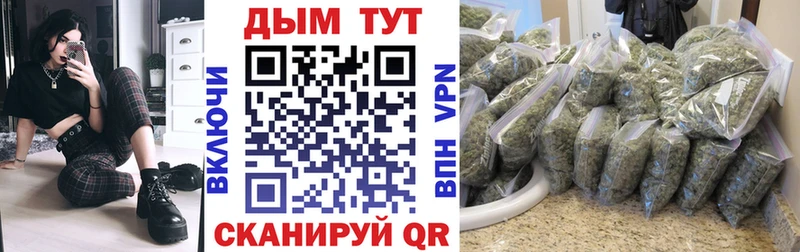 Марихуана план  продажа наркотиков  Вилюйск 
